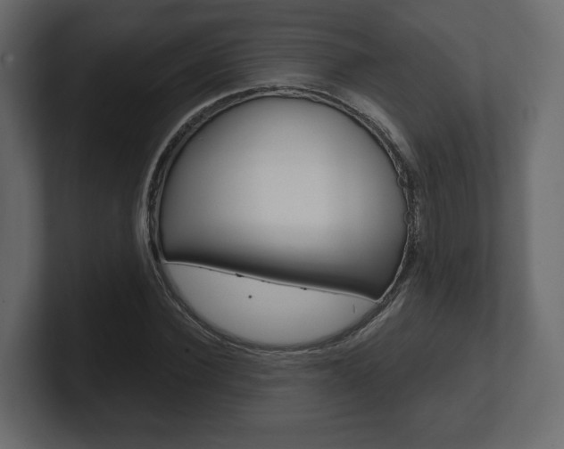 X0000101180924200806270823