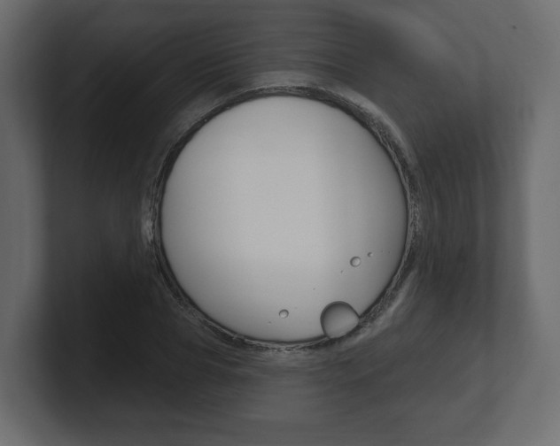 X0000101180929200806270823