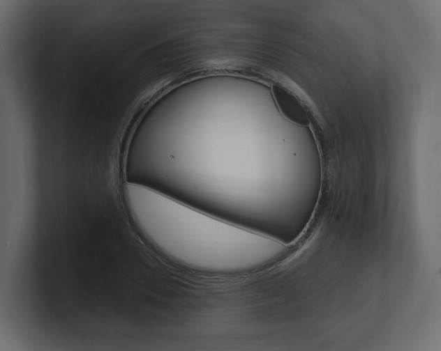 X0000101180930200806270823
