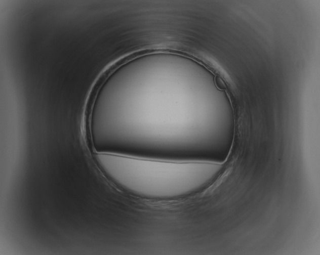 X0000101180932200806270823