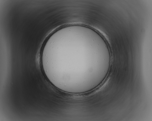 X0000101180933200806270823
