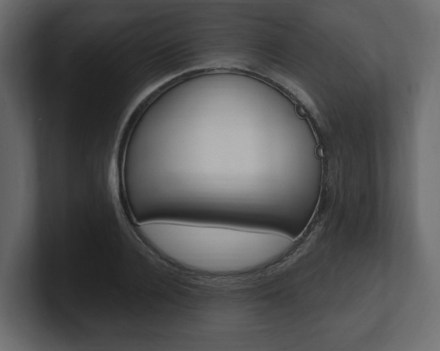 X0000101180936200806270824