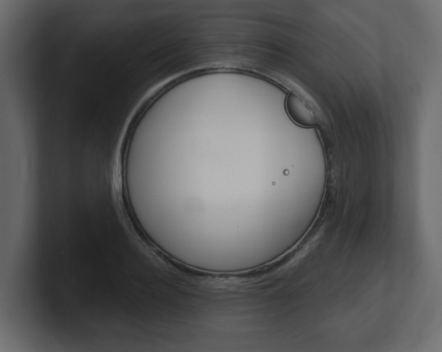 X0000101180940200806270824