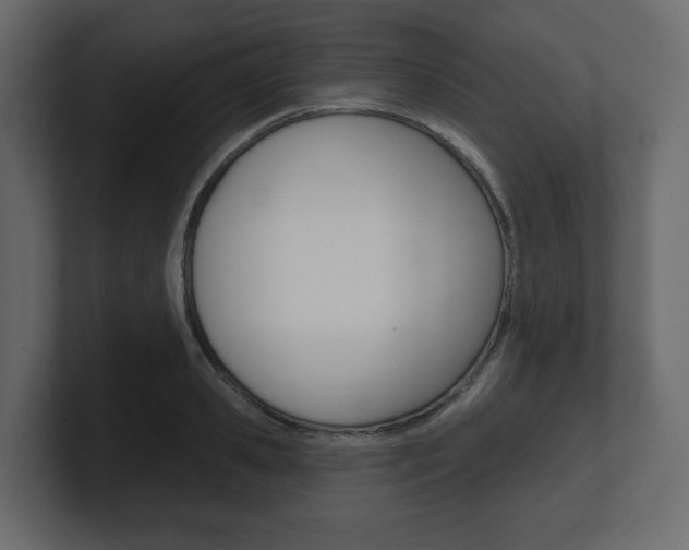 X0000101180941200806270824
