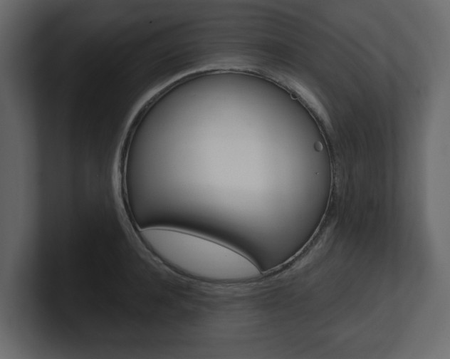 X0000101180944200806270824