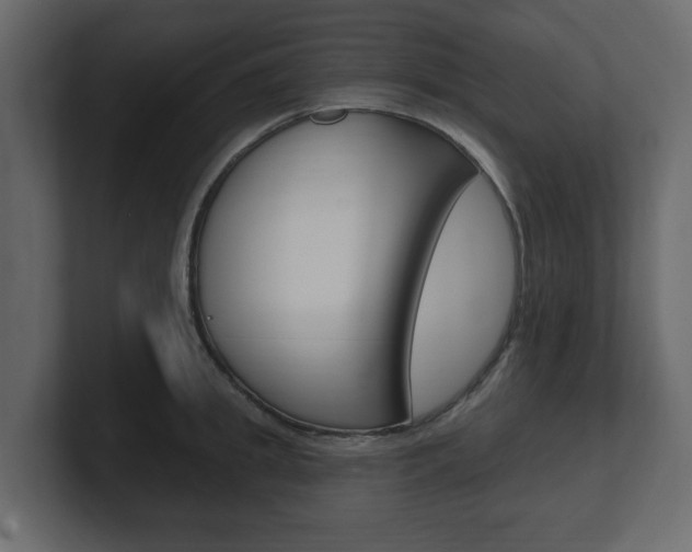 X0000101180949200806270824