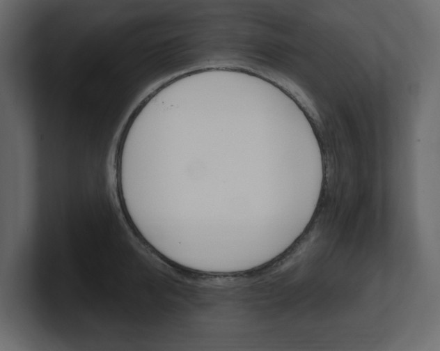 X0000101180950200806270824