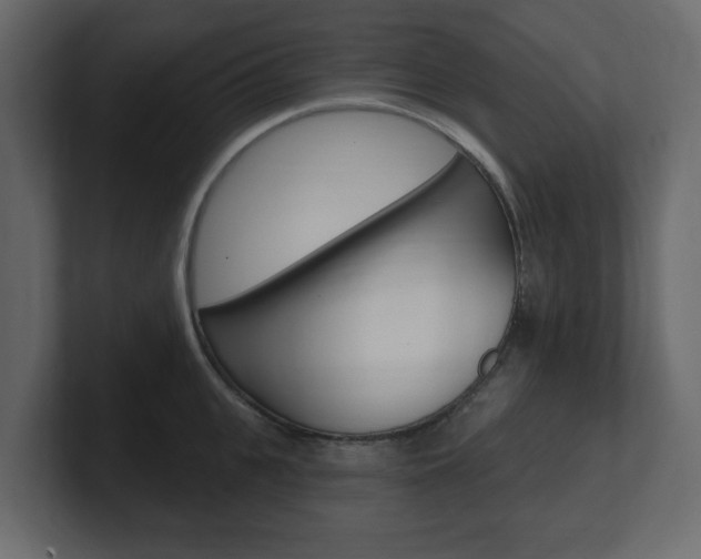 X0000101180951200806270824