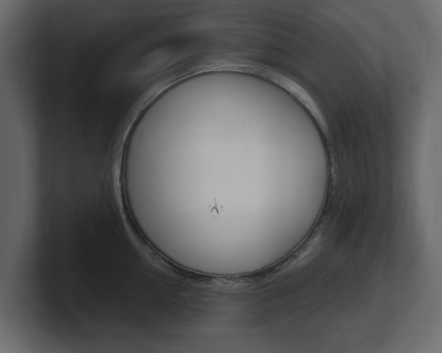 X0000101180954200806270824