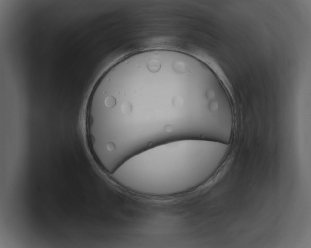 X0000101180957200806270824