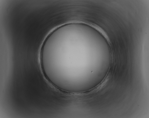 X0000101180958200806270824