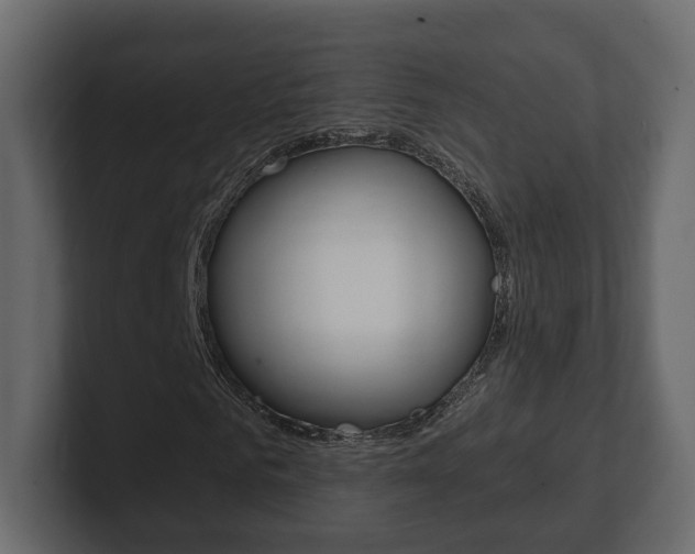 X0000101180961200806270823