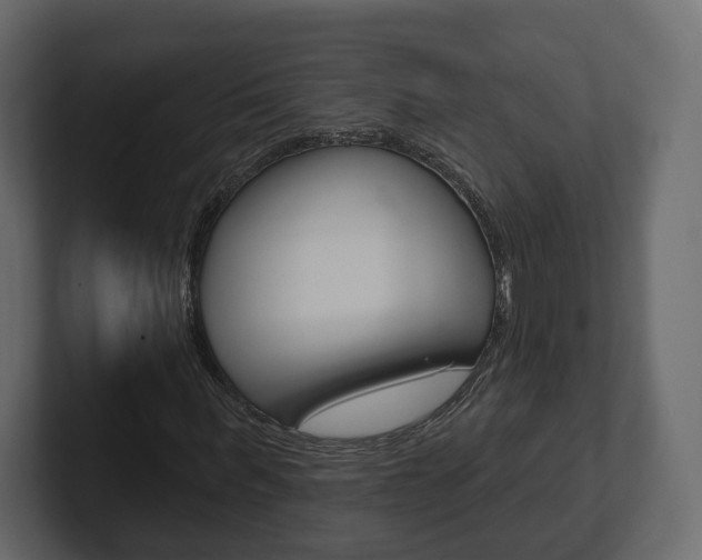 X0000101180963200806270823