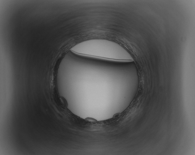 X0000101180964200806270823