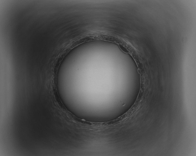 X0000101180965200806270823
