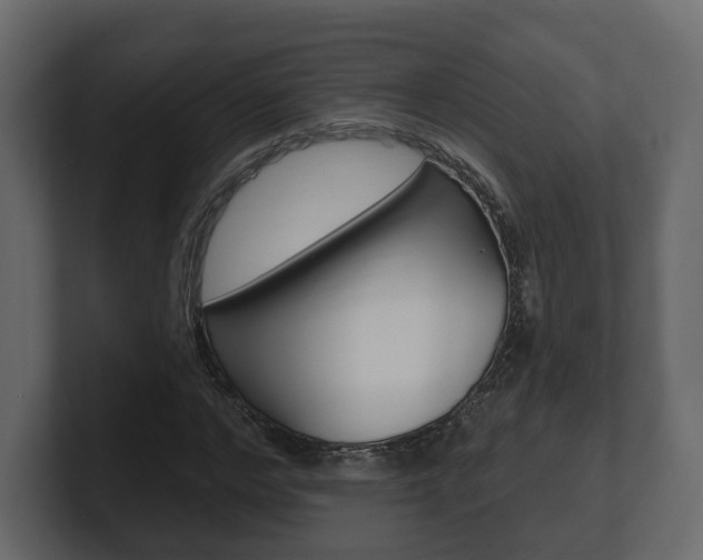 X0000101180968200806270823