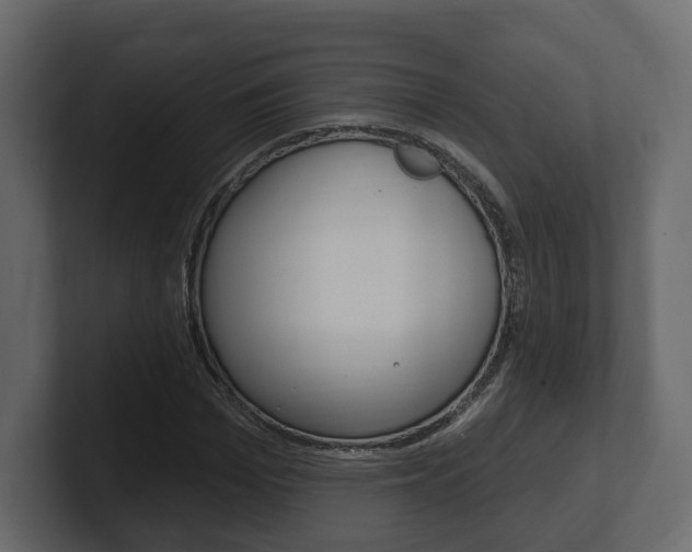 X0000101180969200806270823