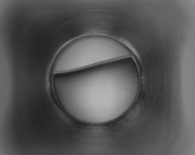 X0000101180972200806270823