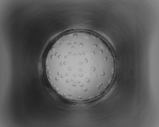 X0000101180974200806270823