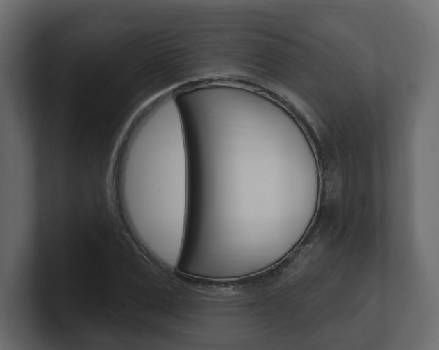 X0000101180975200806270823