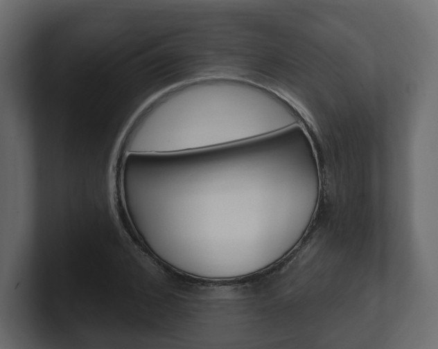 X0000101180976200806270823