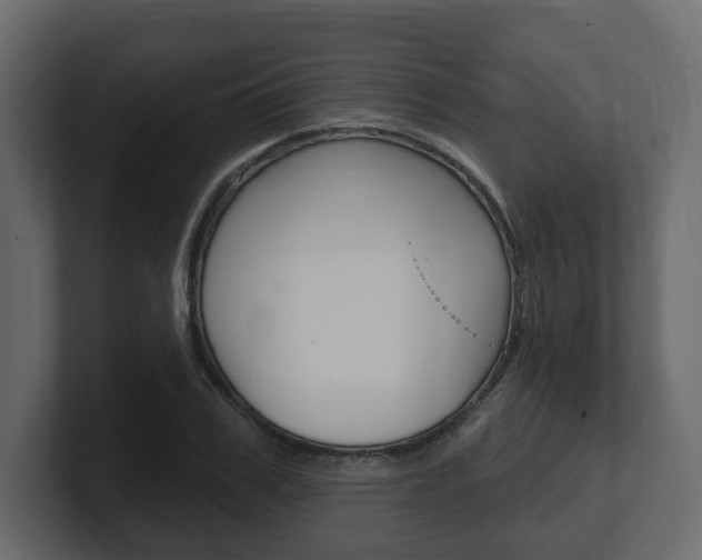 X0000101180979200806270823