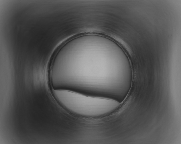 X0000101180983200806270823