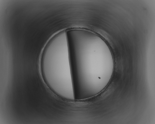 X0000101180984200806270823