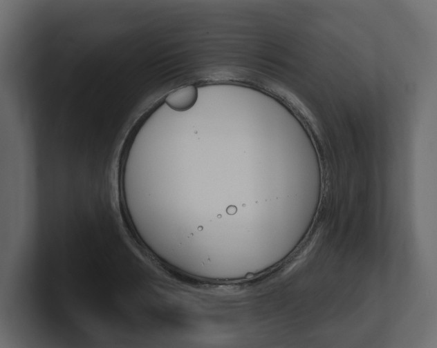 X0000101180986200806270823