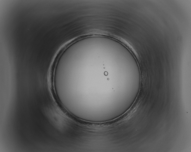 X0000101180987200806270823
