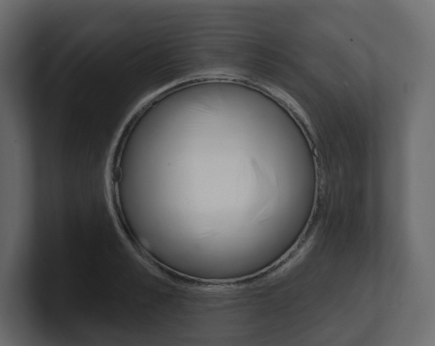X0000101180989200806270823