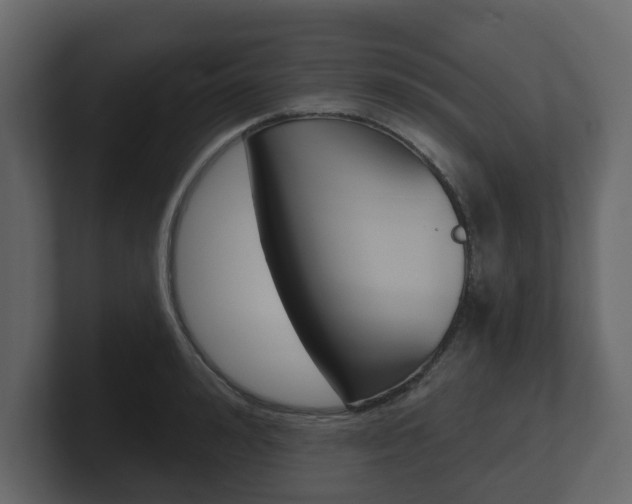 X0000101180992200806270823