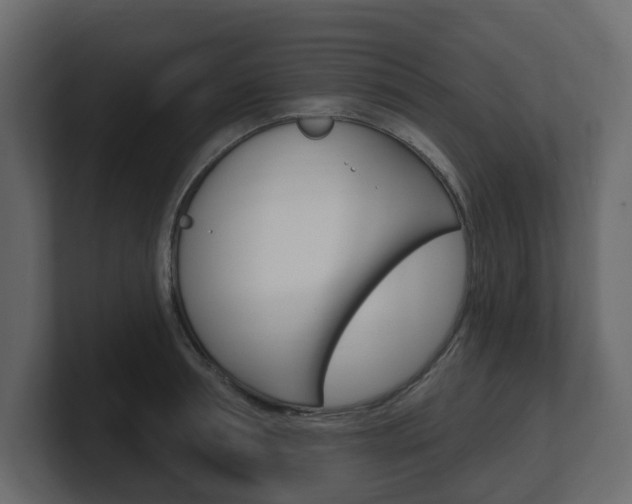 X0000101180994200806270823