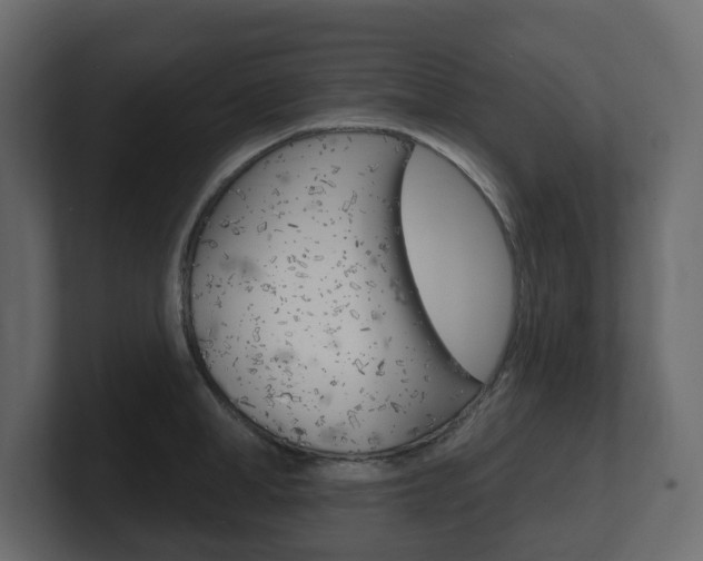 X0000101180998200806270823