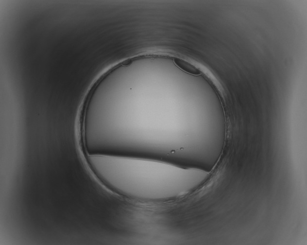 X0000101180999200806270823