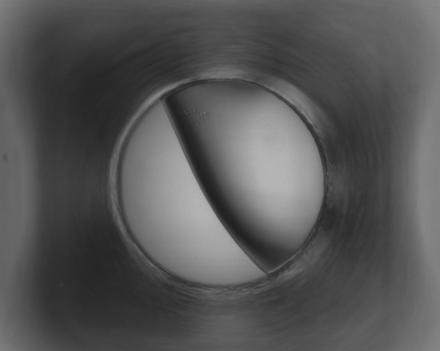 X0000101181000200806270823
