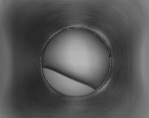 X0000101181001200806270823
