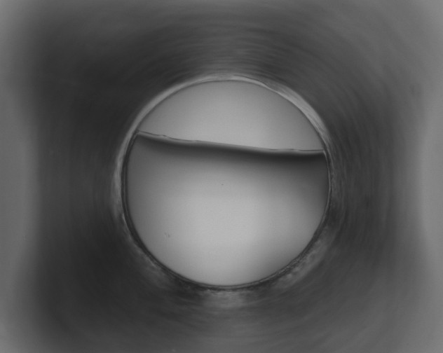 X0000101181004200806270823