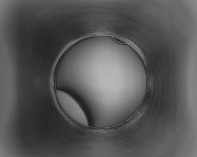 X0000101181005200806270823