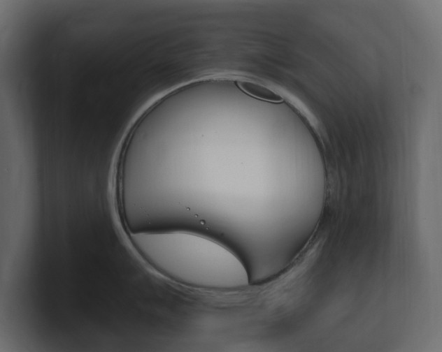 X0000101181007200806270823