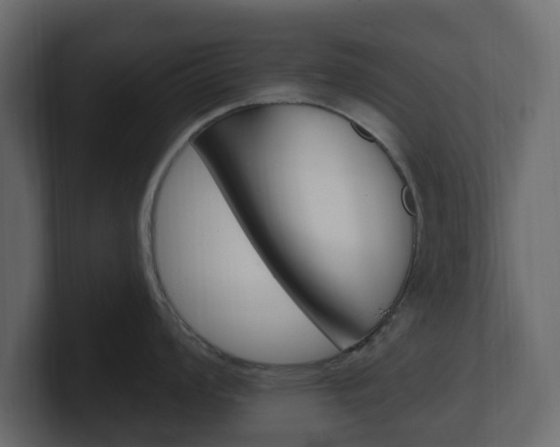 X0000101181008200806270823
