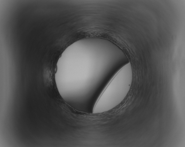 X0000101181010200806270822