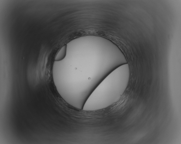 X0000101181011200806270822
