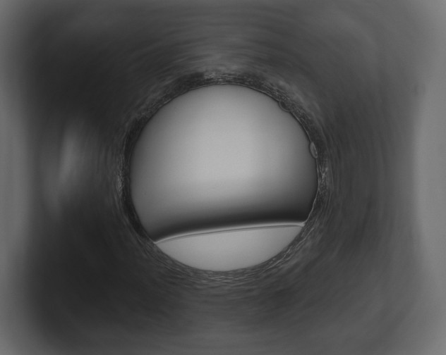 X0000101181012200806270822