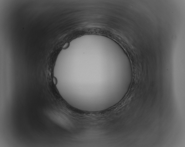 X0000101181013200806270822