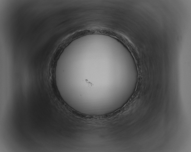 X0000101181016200806270822