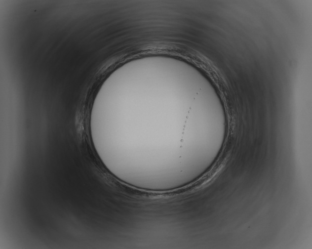 X0000101181017200806270822
