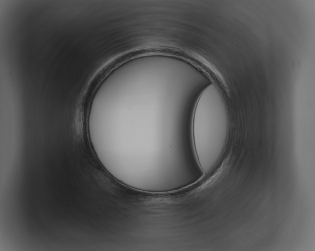 X0000101181021200806270822