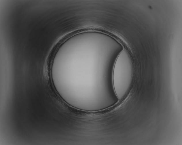X0000101181022200806270822