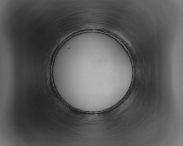 X0000101181025200806270822